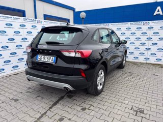 FORD Kuga 1.5 EcoBlue 120 CV aut. 2WD Connect