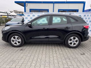 FORD Kuga 1.5 EcoBlue 120 CV aut. 2WD Connect