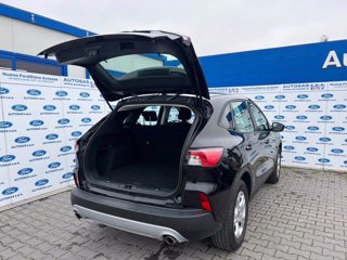 FORD Kuga 1.5 EcoBlue 120 CV aut. 2WD Connect