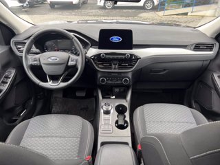 FORD Kuga 1.5 EcoBlue 120 CV aut. 2WD Connect