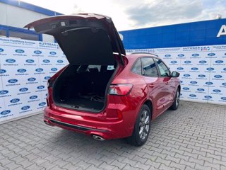 FORD Kuga 2.5 Plug In Hybrid 225 CV CVT 2WD ST-Line X