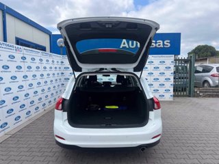 FORD Focus 1.5 EcoBlue 120 CV SW Business