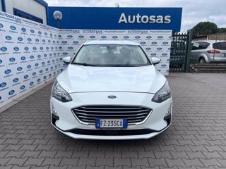 FORD Focus 1.5 EcoBlue 120 CV SW Business