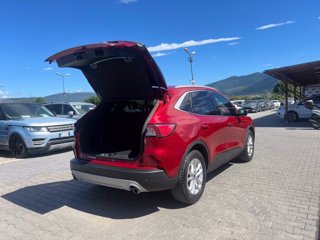 FORD Kuga 1.5 EcoBlue 120 CV 2WD Titanium X