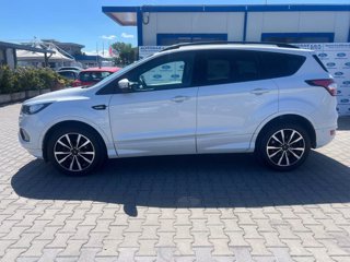 FORD Kuga 1.5 TDCI 120 CV S&S 2WD ST-Line