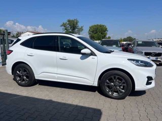 FORD Kuga 2.5 Plug In Hybrid 225 CV CVT 2WD ST-Line X