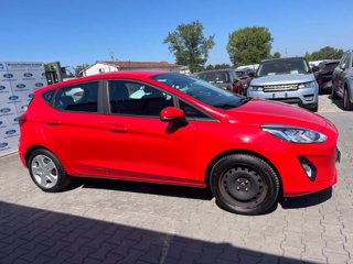 FORD Fiesta 1.1 75 CV 5 porte Connect