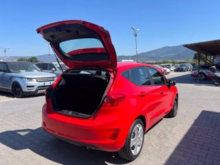 FORD Fiesta 1.1 75 CV 5 porte Connect