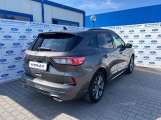 FORD Kuga 1.5 EcoBoost 150 CV 2WD ST-Line X