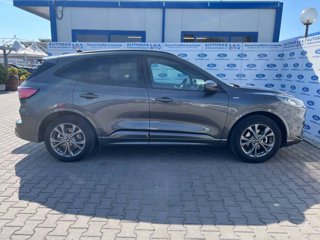 FORD Kuga 1.5 EcoBoost 150 CV 2WD ST-Line X