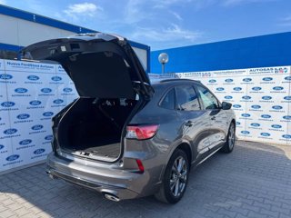 FORD Kuga 1.5 EcoBoost 150 CV 2WD ST-Line X