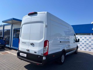 FORD Transit 350 2.0TDCi EcoBlue 170CV PL-SL-TA Furg. Jumbo Trend