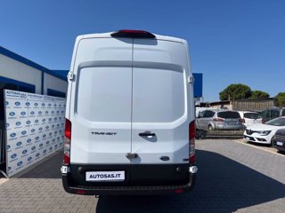 FORD Transit 350 2.0TDCi EcoBlue 170CV PL-SL-TA Furg. Jumbo Trend