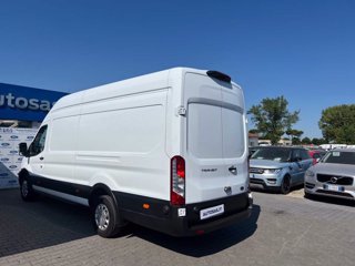 FORD Transit 350 2.0TDCi EcoBlue 170CV PL-SL-TA Furg. Jumbo Trend