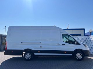 FORD Transit 350 2.0TDCi EcoBlue 170CV PL-SL-TA Furg. Jumbo Trend