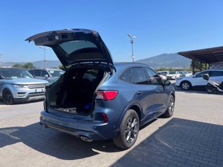 FORD Kuga 1.5 EcoBoost 150 CV 2WD ST-Line