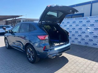 FORD Kuga 1.5 EcoBoost 150 CV 2WD ST-Line