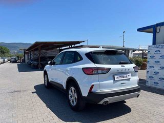 FORD Kuga 1.5 EcoBoost 120 CV 2WD Connect