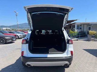 FORD Kuga 1.5 EcoBoost 120 CV 2WD Connect