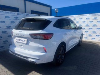 FORD Kuga 1.5 EcoBlue 120 CV 2WD ST-Line