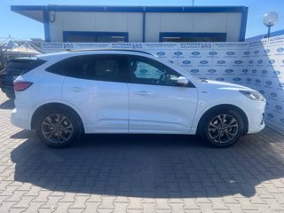 FORD Kuga 1.5 EcoBlue 120 CV 2WD ST-Line