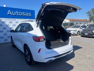 FORD Kuga 1.5 EcoBlue 120 CV 2WD ST-Line