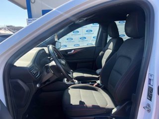 FORD Kuga 1.5 EcoBlue 120 CV 2WD ST-Line