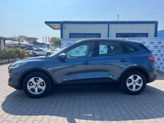 FORD Kuga 2.5 Plug In Hybrid 225 CV CVT 2WD Connect