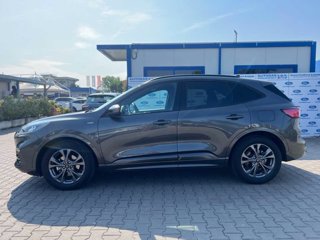 FORD Kuga 2.5 Full Hybrid 190 CV CVT AWD ST-Line