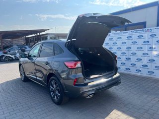 FORD Kuga 2.5 Full Hybrid 190 CV CVT 2WD ST-Line