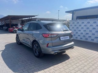 FORD Kuga 1.5 EcoBoost 150 CV 2WD ST-Line