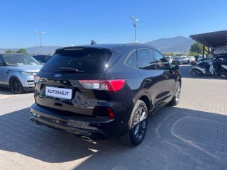 FORD Kuga 2.5 Plug In Hybrid 225 CV CVT 2WD ST-Line