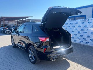 FORD Kuga 2.5 Plug In Hybrid 225 CV CVT 2WD ST-Line