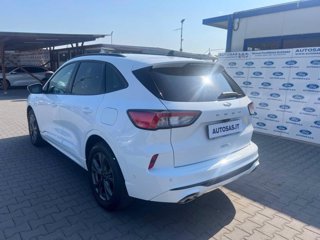 FORD Kuga 1.5 EcoBlue 120 CV aut. 2WD ST-Line X