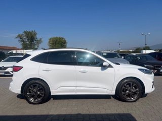 FORD Kuga 1.5 EcoBlue 120 CV aut. 2WD ST-Line X