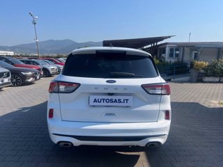 FORD Kuga 1.5 EcoBlue 120 CV aut. 2WD ST-Line X