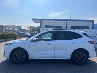 FORD Kuga 1.5 EcoBlue 120 CV aut. 2WD ST-Line X