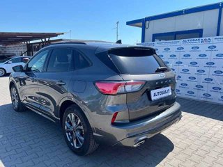 FORD Kuga 2.5 Plug In Hybrid 225 CV CVT 2WD ST-Line X