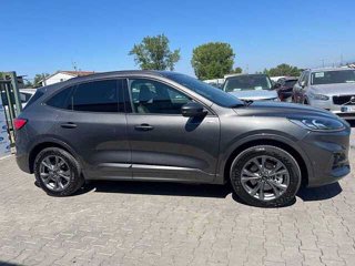 FORD Kuga 2.5 Plug In Hybrid 225 CV CVT 2WD ST-Line X