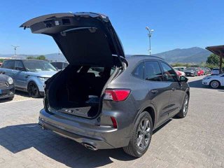 FORD Kuga 2.5 Plug In Hybrid 225 CV CVT 2WD ST-Line X