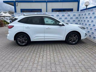 FORD Kuga 2.5 Plug In Hybrid 225 CV CVT 2WD ST-Line X