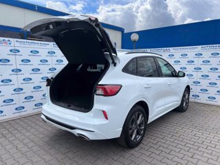 FORD Kuga 2.5 Plug In Hybrid 225 CV CVT 2WD ST-Line X