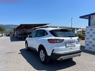 FORD Kuga 1.5 EcoBoost 120 CV 2WD Connect