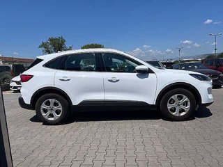 FORD Kuga 1.5 EcoBoost 120 CV 2WD Connect