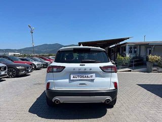 FORD Kuga 1.5 EcoBoost 120 CV 2WD Connect