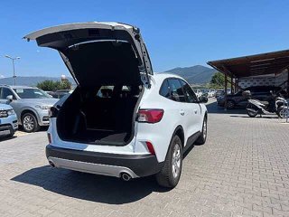 FORD Kuga 1.5 EcoBoost 120 CV 2WD Connect