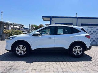 FORD Kuga 1.5 EcoBoost 120 CV 2WD Connect