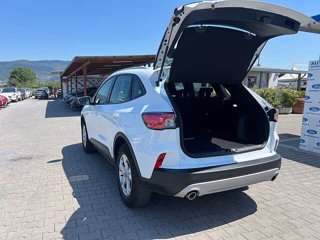 FORD Kuga 1.5 EcoBoost 120 CV 2WD Connect