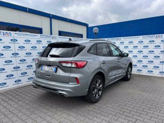 FORD Kuga 2.5 Plug In Hybrid 225 CV CVT 2WD ST-Line