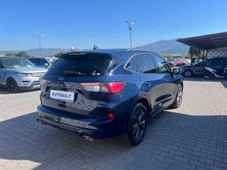 FORD Kuga 1.5 EcoBoost 150 CV 2WD ST-Line